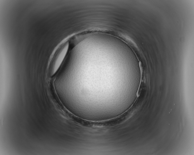 X0000083550388200703091558