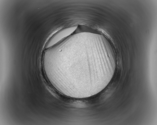 X0000083550390200703091558