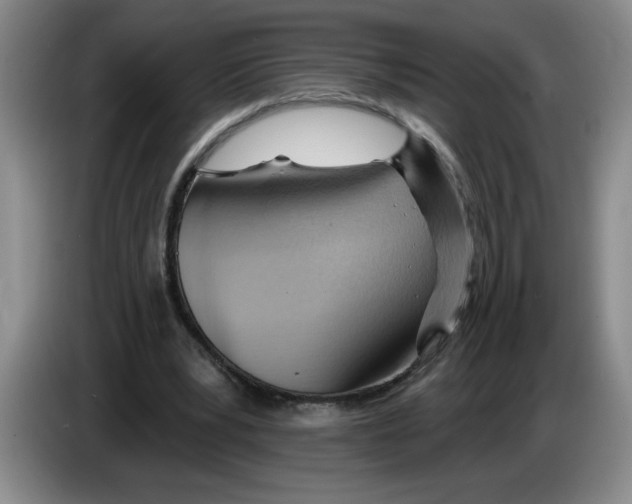 X0000083550391200703091558