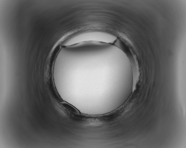 X0000083550392200703091558