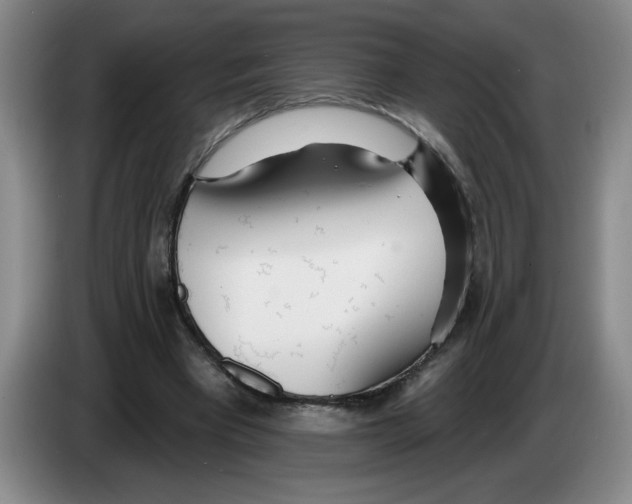 X0000083550393200703091558