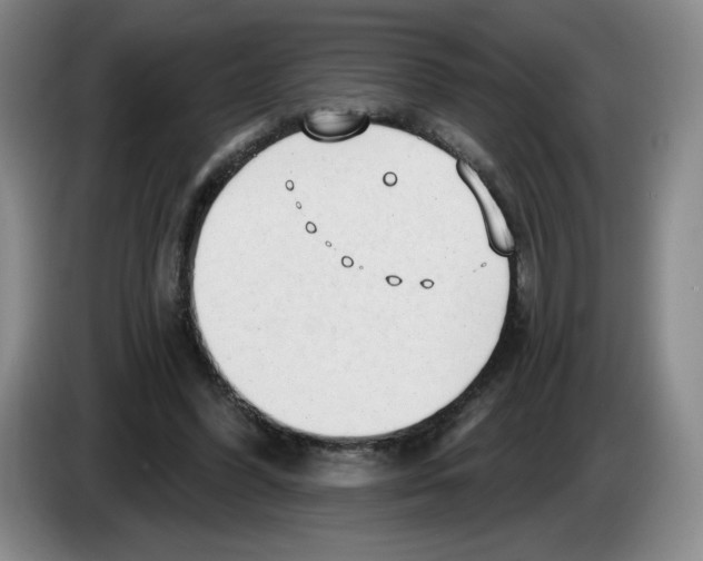 X0000083550396200703091558
