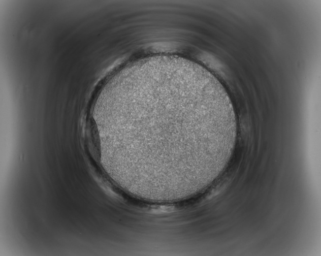 X0000083550398200703091558
