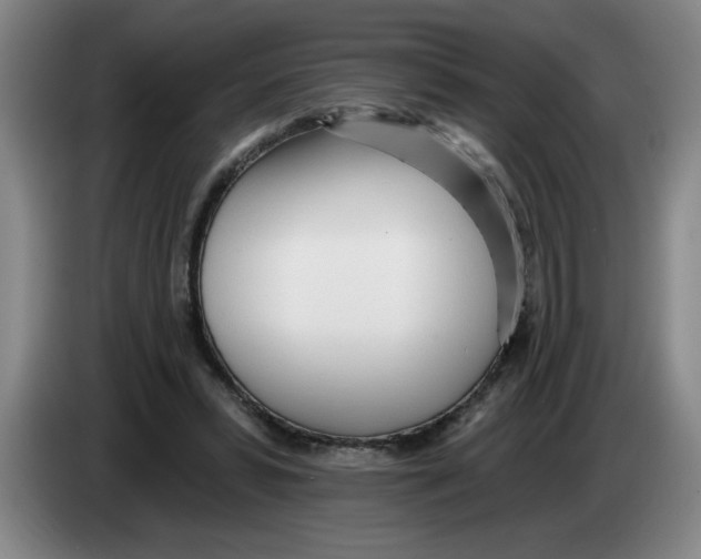 X0000083550399200703091558