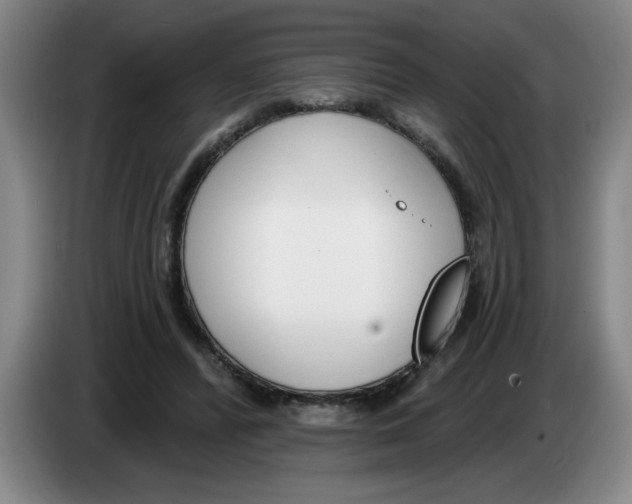X0000083550400200703091558