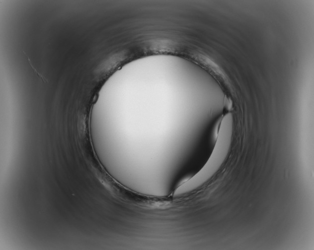 X0000083550401200703091558