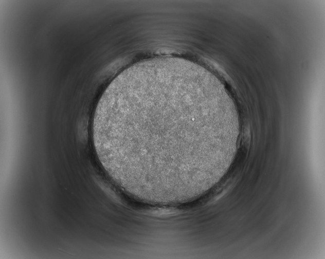 X0000083550402200703091558
