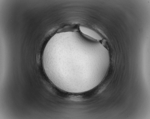 X0000083550403200703091558