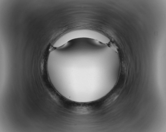 X0000083550404200703091558