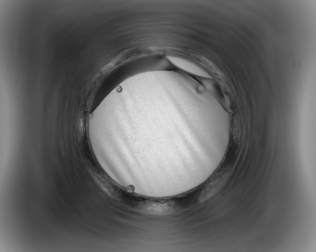 X0000083550405200703091558