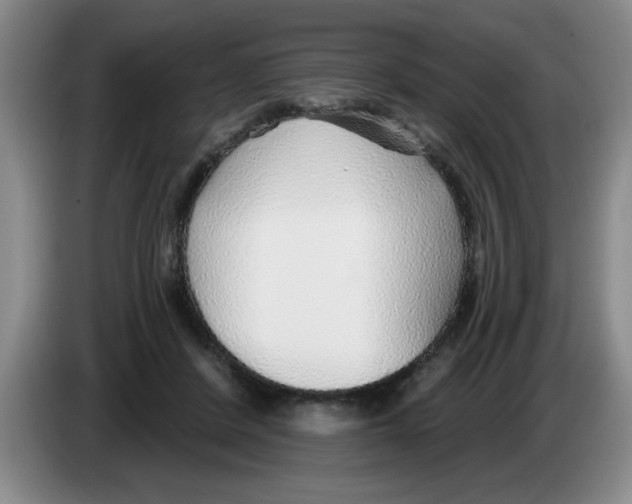X0000083550408200703091558