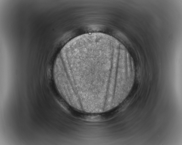X0000083550410200703091558
