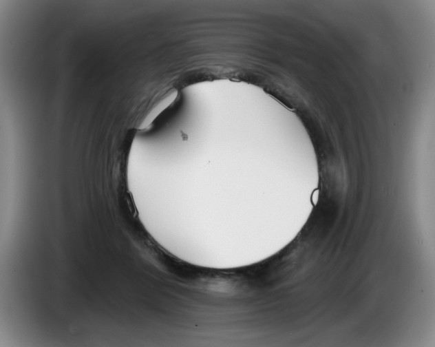 X0000083550412200703091558