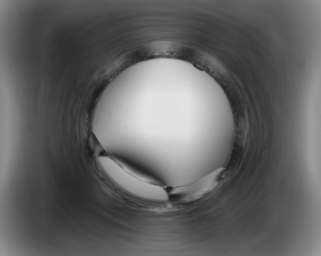 X0000083550413200703091558
