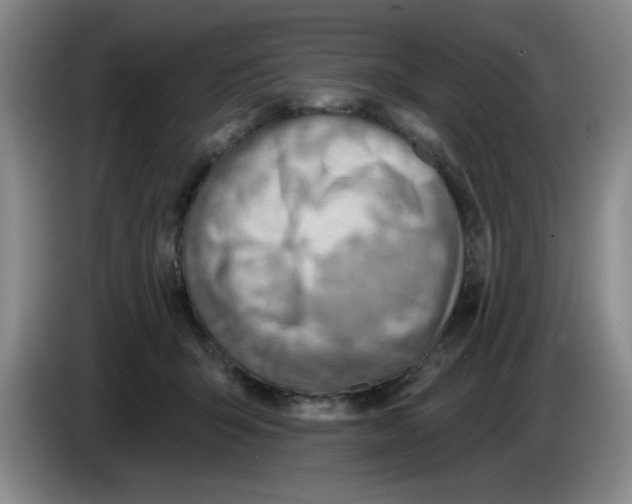 X0000083550415200703091558