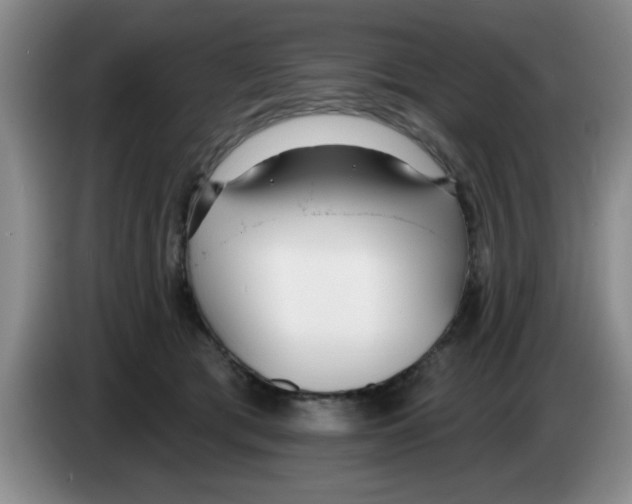 X0000083550417200703091558