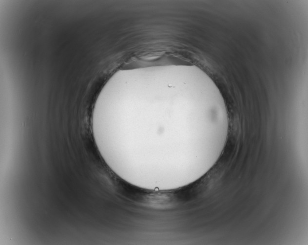 X0000083550418200703091558