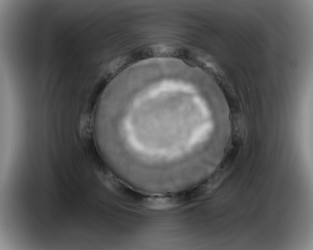 X0000083550419200703091558