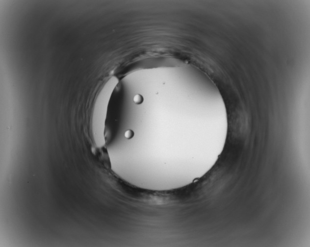 X0000083550420200703091558