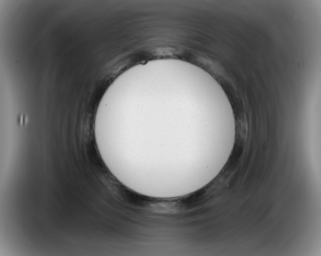X0000083550422200703091558