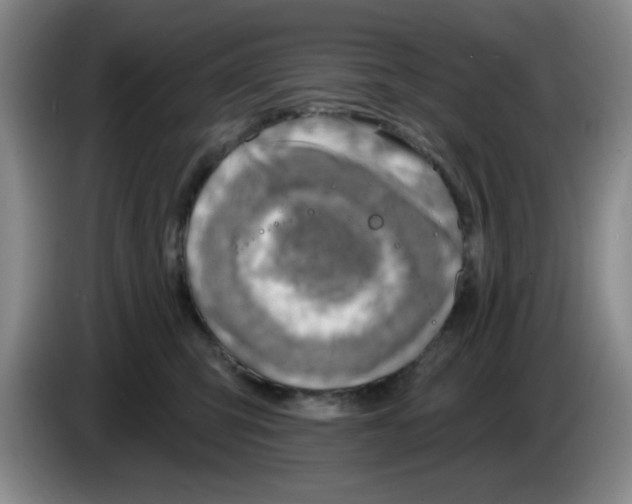 X0000083550423200703091558