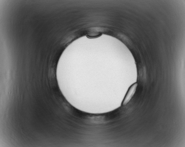X0000083550426200703091558
