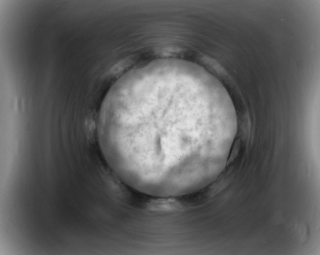 X0000083550427200703091558