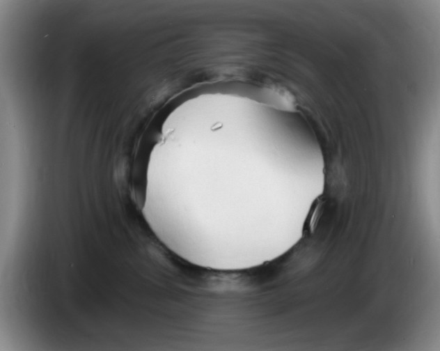X0000083550428200703091558