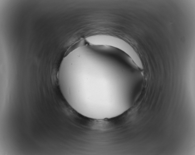 X0000083550429200703091558