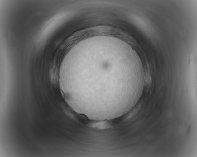X0000083550431200703091558