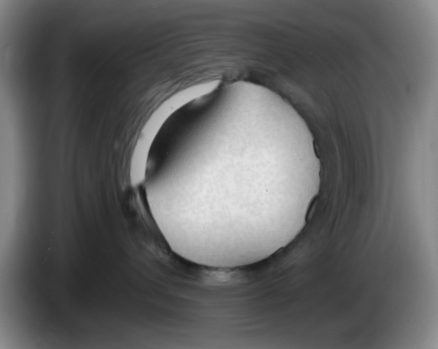 X0000083550432200703091558
