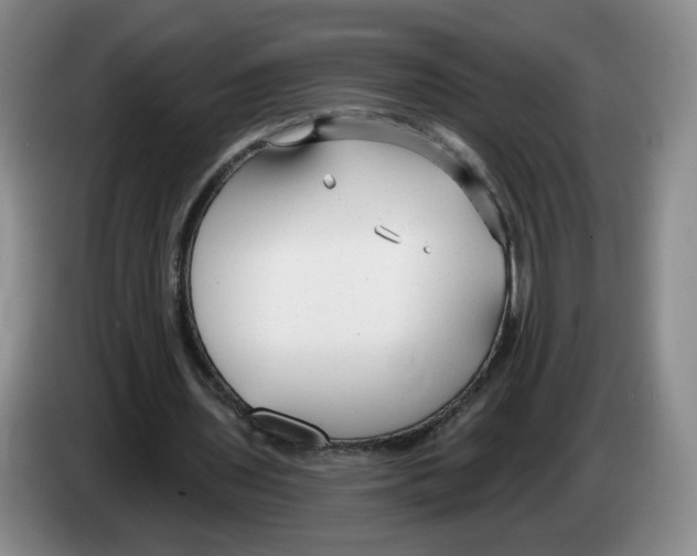 X0000083550435200703091557