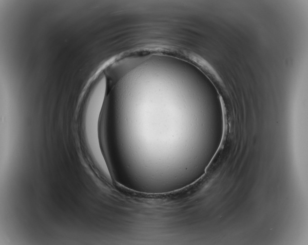 X0000083550436200703091557