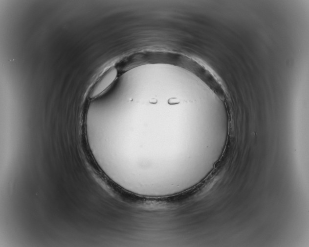 X0000083550437200703091557