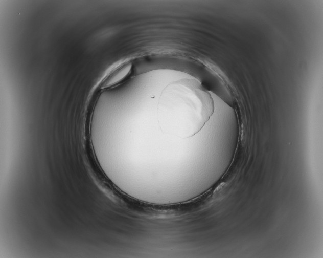 X0000083550438200703091557