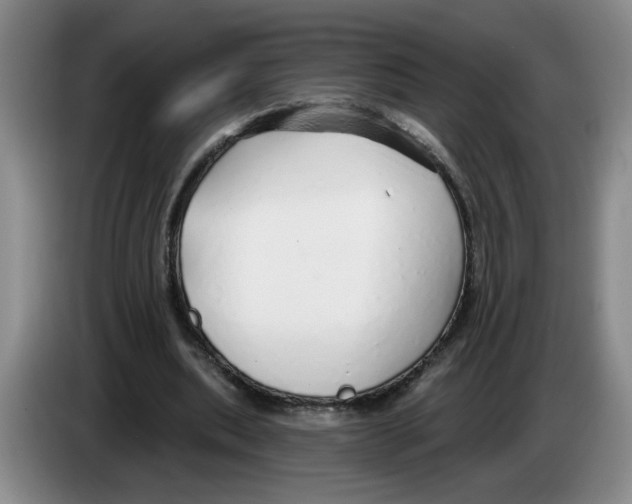 X0000083550439200703091557