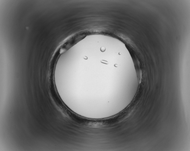 X0000083550440200703091557