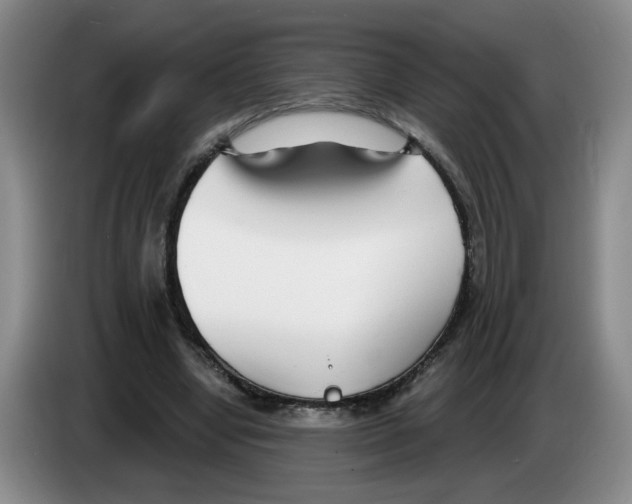 X0000083550442200703091557