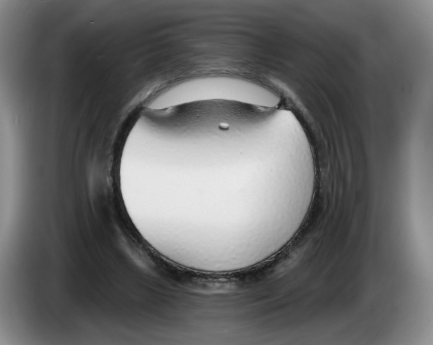 X0000083550443200703091557