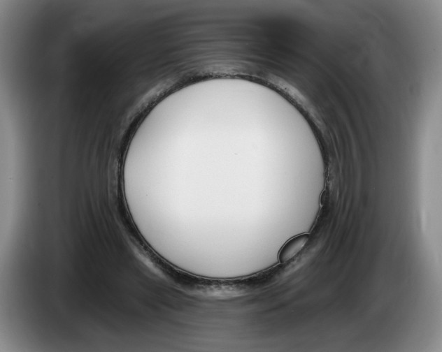 X0000083550445200703091557