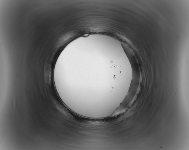 X0000083550446200703091557
