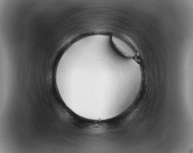 X0000083550447200703091557