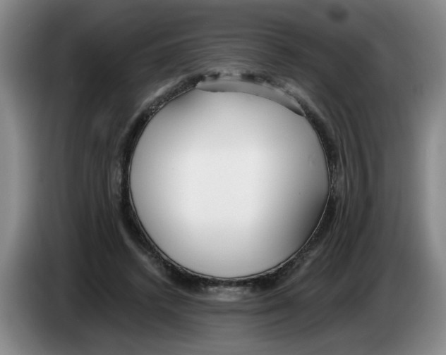 X0000083550448200703091557
