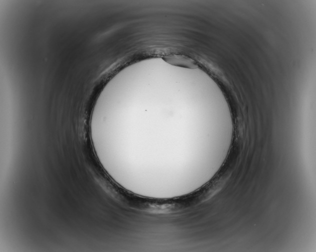 X0000083550450200703091557