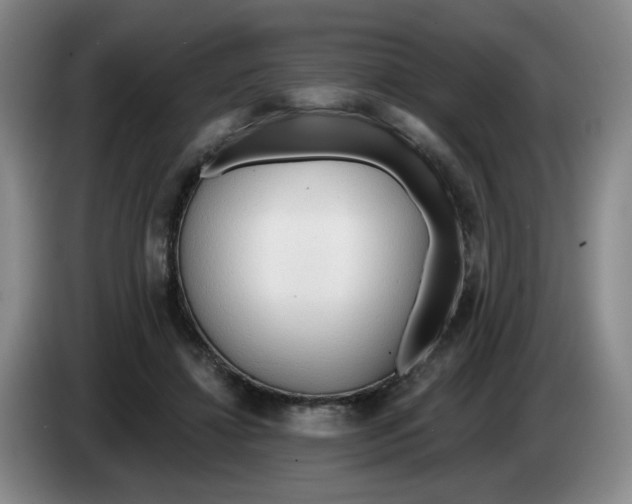 X0000083550452200703091557