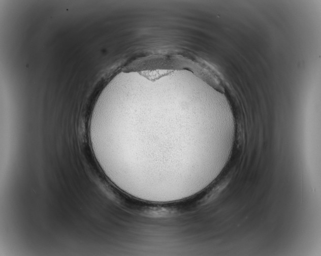 X0000083550453200703091557