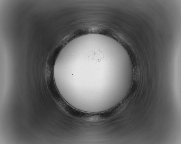 X0000083550456200703091557