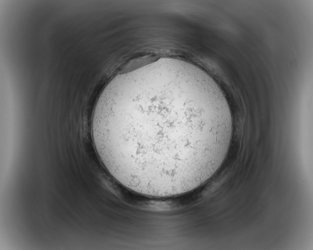 X0000083550457200703091557