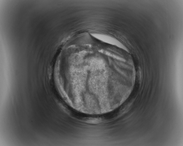 X0000083550458200703091557