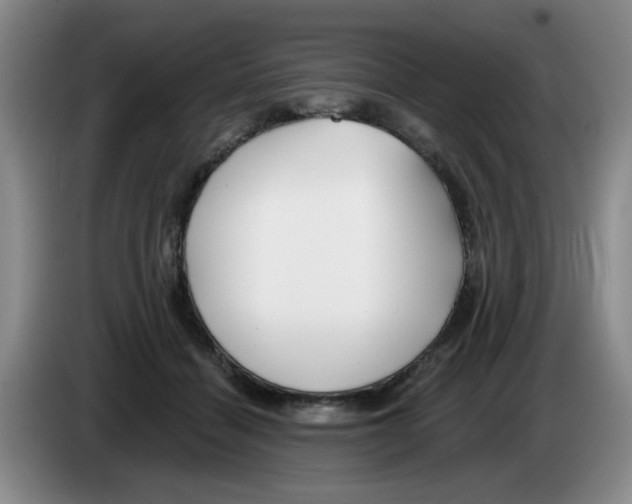 X0000083550460200703091557